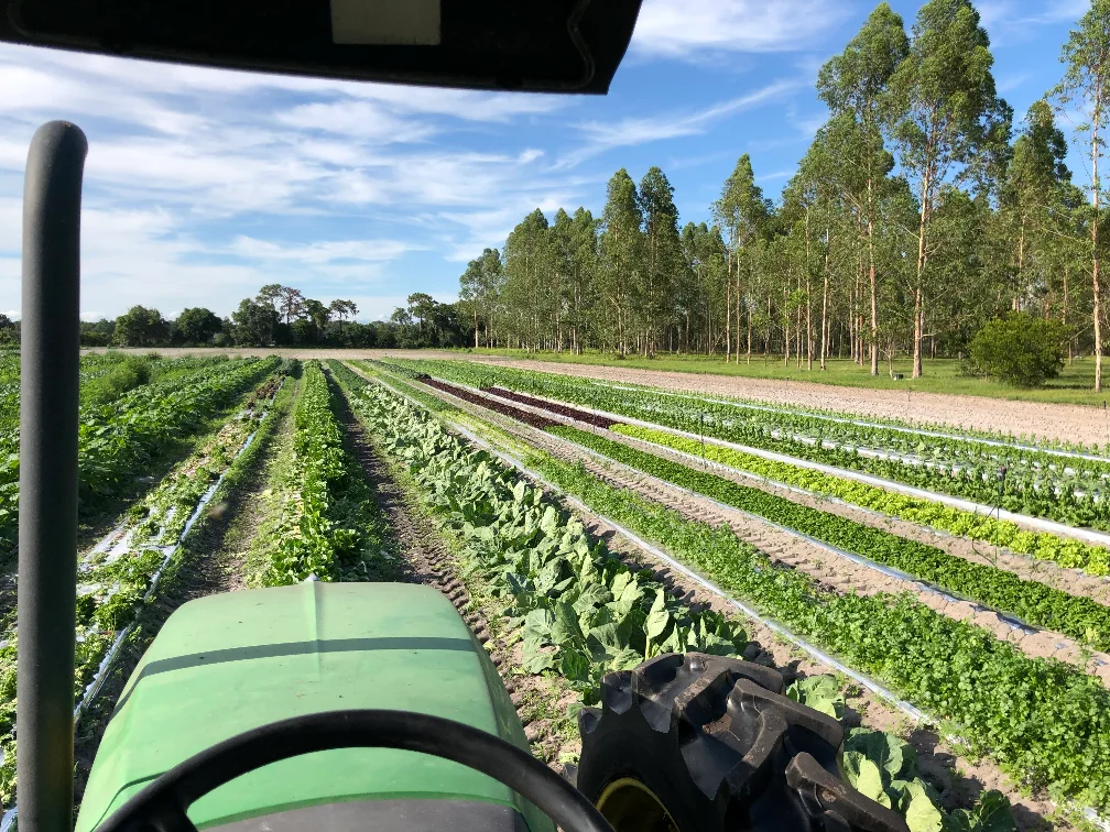 Farm Consultant & Grower