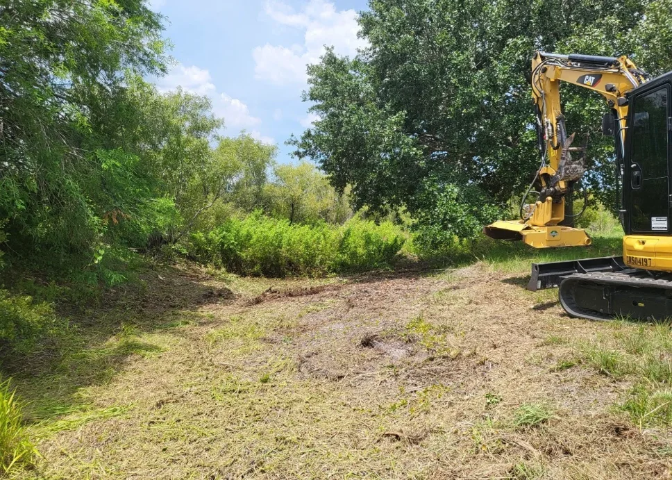Before Land Clearing Property in Manatee County