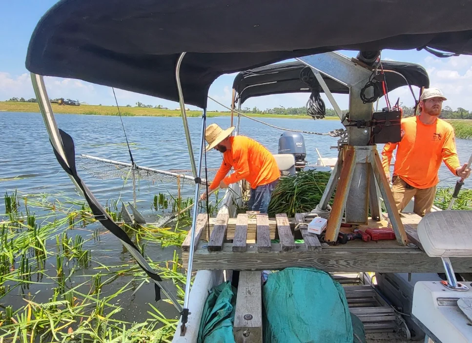 Pond and Invasive Plant Removal 